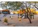 Community playground with play structures, swings, and covered picnic area at 25696 W Williams Ct, Buckeye, AZ 85326