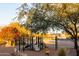 Community playground with play structures, swings, and shade trees at 25696 W Williams Ct, Buckeye, AZ 85326