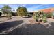 Landscaped backyard with desert plants and trees at 10207 W Oak Ridge Dr, Sun City, AZ 85351