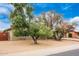 House exterior with mature trees and large yard at 4529 W Columbine Dr, Glendale, AZ 85304