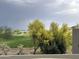 Picturesque golf course view from the property showcasing lush greenery, mature trees and beautiful desert landscaping at 3703 S Avenida De Angeles --, Gold Canyon, AZ 85118