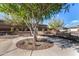 Community park with benches under a large tree at 11578 W Montansoro Ln, Peoria, AZ 85383