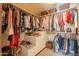 Large walk-in closet with ample hanging space and shelving at 16704 E Ashbrook Dr # 1, Fountain Hills, AZ 85268