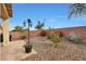 Landscaped backyard with desert plants and lighting at 22555 W Antelope Trl, Buckeye, AZ 85326