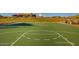 Well-maintained outdoor basketball court with clear markings at 29068 N 124Th Dr, Peoria, AZ 85383