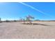 Open desert pasture with small trees at 53129 W Badger Rd, Maricopa, AZ 85139