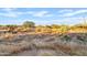 Vast desert landscape with dry grasses and distant mountains at 7918 E Dale Ln, Scottsdale, AZ 85266