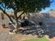 Landscaped backyard with gravel, tree, and potted plants at 16210 N 32Nd Way, Phoenix, AZ 85032