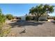 Backyard view with gravel and a tree at 19910 N 146Th Way, Sun City West, AZ 85375