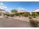 Landscaped backyard with gravel, plants, and a pergola at 26180 W Firehawk Dr, Buckeye, AZ 85396