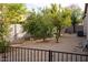Landscaped backyard with fruit trees and a gravel pathway at 3410 N 131St Ln, Litchfield Park, AZ 85340