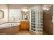 Bathroom features a soaking tub, walk-in shower, and updated vanity at 22719 N 93Rd St, Scottsdale, AZ 85255