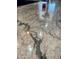 Close-up of a granite kitchen countertop at 22834 E Mccowan Ct, Queen Creek, AZ 85142