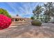 Backyard view with gravel, trees, and a house at 6413 W Irma Ln, Glendale, AZ 85308