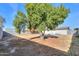 Large backyard with mature trees and plenty of space at 8323 W Devonshire Ave, Phoenix, AZ 85037