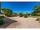Expansive backyard featuring mature trees, desert landscaping, and ample space for outdoor entertaining at 2233 N Middlecoff Dr, Mesa, AZ 85215