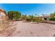 The backyard includes minimal landscaping and a view of a lush green tree at 2233 N Middlecoff Dr, Mesa, AZ 85215