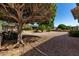 Spacious backyard featuring desert landscaping, mature trees, and ample space for outdoor activities at 2233 N Middlecoff Dr, Mesa, AZ 85215