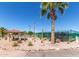 Community recreational area featuring a covered picnic spot, palm trees, and lush landscaping for relaxation at 2233 N Middlecoff Dr, Mesa, AZ 85215