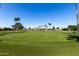 A green on the golf course with a blue flag, trees, and blue skies at 2233 N Middlecoff Dr, Mesa, AZ 85215