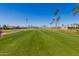 Scenic view of lush green golf course with palm trees and residential community at 2233 N Middlecoff Dr, Mesa, AZ 85215