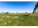 Overview of the golf course with lush green grass and row of tall palm trees at 2233 N Middlecoff Dr, Mesa, AZ 85215