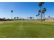 Golf course with palm trees and green grass for enjoying a relaxing game of golf at 2233 N Middlecoff Dr, Mesa, AZ 85215