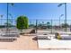 Outdoor pickleball courts with shaded picnic tables, lights, and manicured greenery in a vibrant community setting at 2233 N Middlecoff Dr, Mesa, AZ 85215