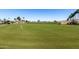 Putting green with blue and white flags on a well-manicured golf course at 2233 N Middlecoff Dr, Mesa, AZ 85215