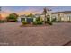 Stunning curb appeal with a paved driveway and beautiful landscaping at 23807 N 64Th Ave, Glendale, AZ 85310