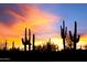 Stunning desert sunset view with silhouetted cacti at 15848 E Palomino Blvd, Fountain Hills, AZ 85268
