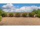 Spacious backyard with gravel and desert landscaping at 11596 W Sierra Dawn Blvd # 357, Surprise, AZ 85378