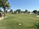 Expansive green space perfect for recreation and relaxation at 12432 W Fieldstone Dr, Sun City West, AZ 85375