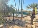 Community tennis courts nestled amongst palm trees and landscaping at 12432 W Fieldstone Dr, Sun City West, AZ 85375