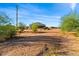 Vast backyard with desert landscape and home view at 1623 E Hidalgo St, Apache Junction, AZ 85119