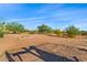 Expansive backyard with fire pit and mature desert plants at 1623 E Hidalgo St, Apache Junction, AZ 85119