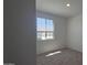 Bright bedroom features new carpet and a window with outside views at 2690 E Abe Truckle Ave, San Tan Valley, AZ 85140