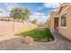 Landscaped backyard with large grassy area and rock border at 18526 E Swan Dr, Queen Creek, AZ 85142