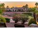 Peaceful lake view with houses and palm trees at 23206 N Del Monte Dr, Sun City West, AZ 85375