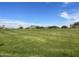 Green lawn area with mountain view background at 5822 E Bramble Berry Ln, Cave Creek, AZ 85331