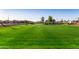 Community greenbelt with grassy area and park at 640 S Olympic Dr, Gilbert, AZ 85296
