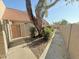 Pathway to a townhouse entrance with mature tree and landscaping at 7324 N 44Th Dr, Glendale, AZ 85301