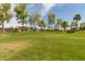 Large grassy area with playground and basketball court at 1113 W Fir Tree Rd, Queen Creek, AZ 85140