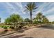 Palm trees line a paved street in this well-maintained community at 1113 W Fir Tree Rd, Queen Creek, AZ 85140