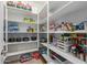 Well-organized pantry with ample shelving for storage at 1113 W Fir Tree Rd, Queen Creek, AZ 85140