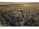 Aerial view of property showing home and surrounding desert landscape at 12866 W Sun Ave, Eloy, AZ 85131