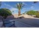 Landscaped backyard with palm trees and seating area at 14416 W Kiowa Trl, Surprise, AZ 85374