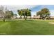 Landscaped green space with mature trees near homes at 14416 W Kiowa Trl, Surprise, AZ 85374