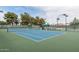 Well-maintained tennis court with surrounding greenery at 14416 W Kiowa Trl, Surprise, AZ 85374