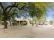 Front yard with mature trees and desert landscaping at 24918 S Golfview Dr, Sun Lakes, AZ 85248